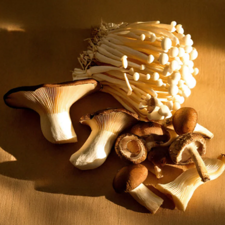 A Nutritionist's Take on Medicinal Mushrooms