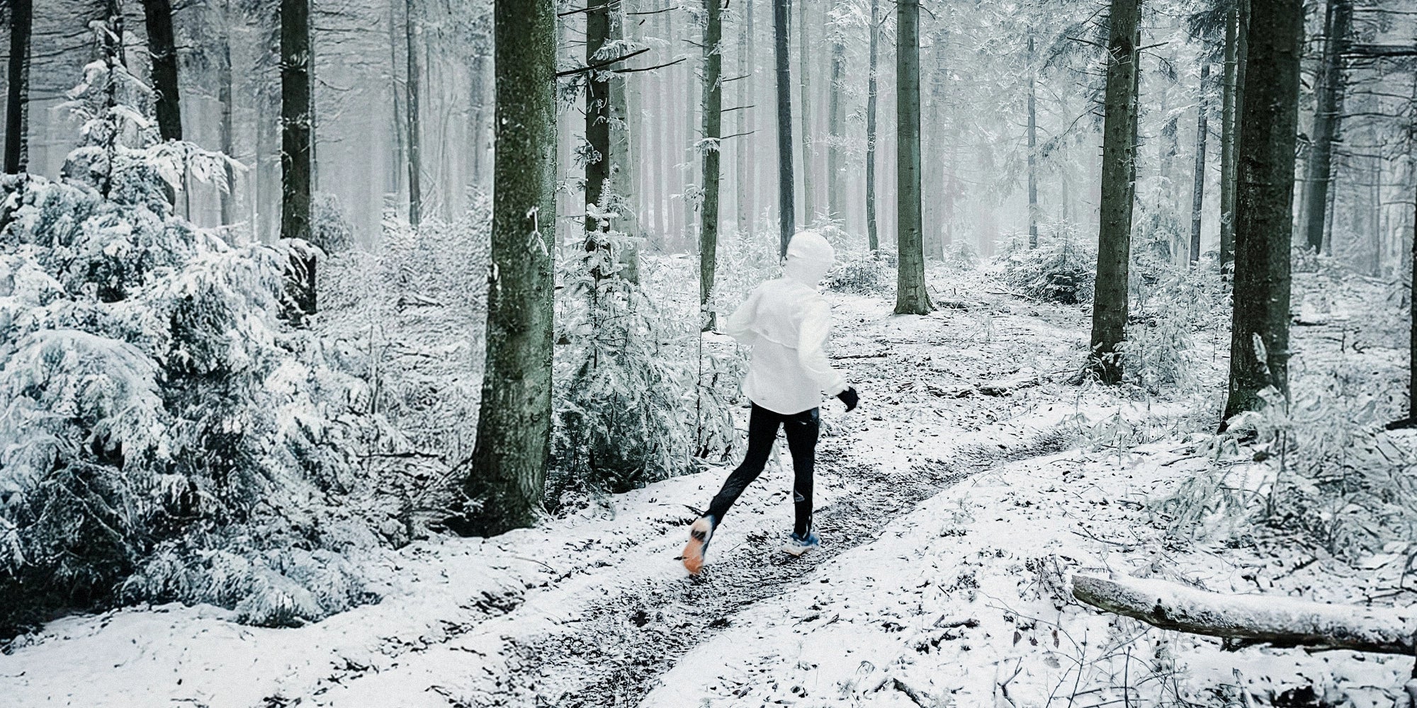 A Nutritionist’s Guide to Immunity This Winter