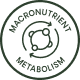 Macronutrient Metabolism