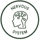 Nervous System