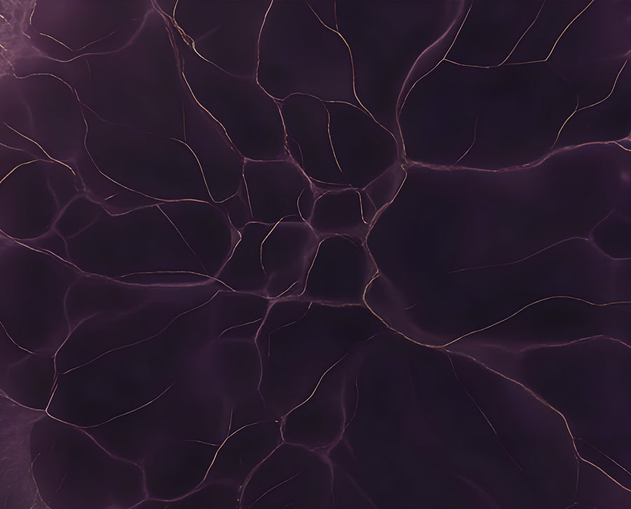 Ageing begins in the cell