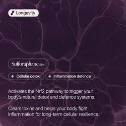 Sulforaphane 40mg Capsules