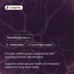 TMG (Trimethylglycine) 750mg Capsules