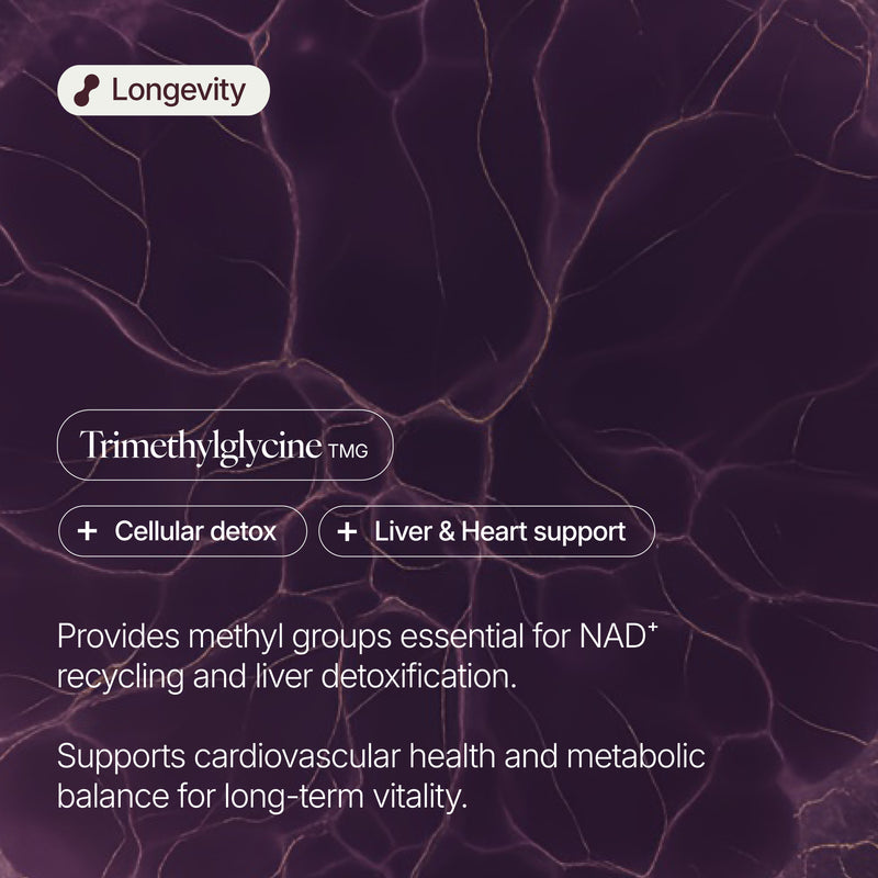 TMG (Trimethylglycine) 750mg Capsules