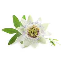 Passionflower