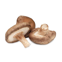 Shiitake Mushroom