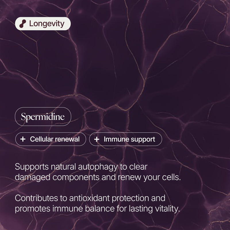 Spermidine 18mg Capsules